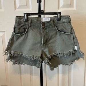 One teaspoon Le wolves shorts cutoff denim